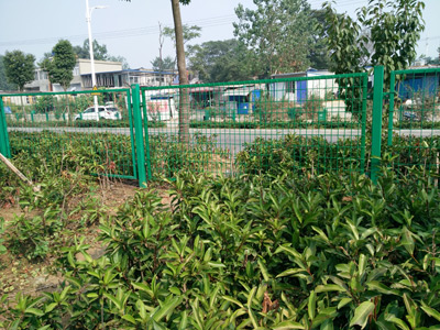 湖南安徽蚌埠黃山大道綠化隔離項(xiàng)目