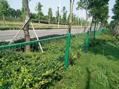 安徽蚌埠黃山大道綠化隔離項目 安徽蚌埠黃山大道綠化隔離項目